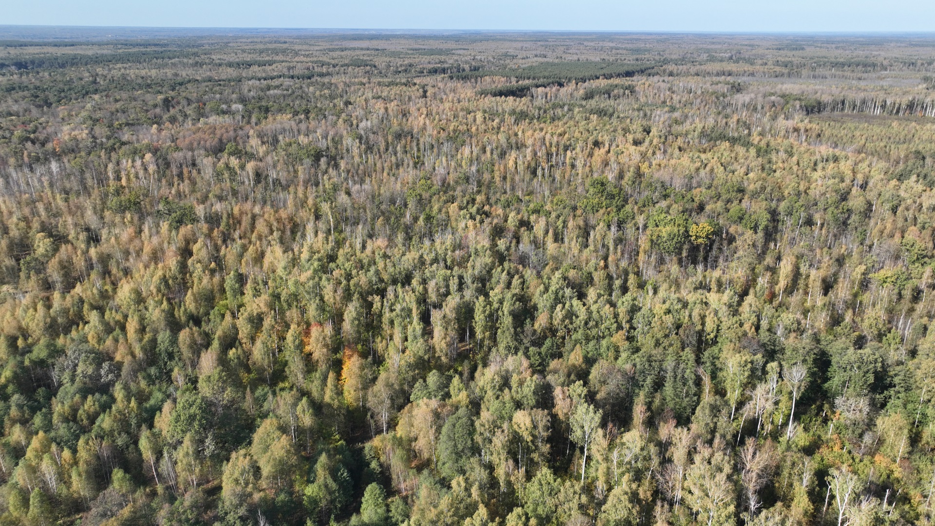 Реализация в Мордовии национальных проектов, предложенных Президентом России.  Об итогах противопожарного обустройства лесов в Мордовии за первое полугодие 2026 года